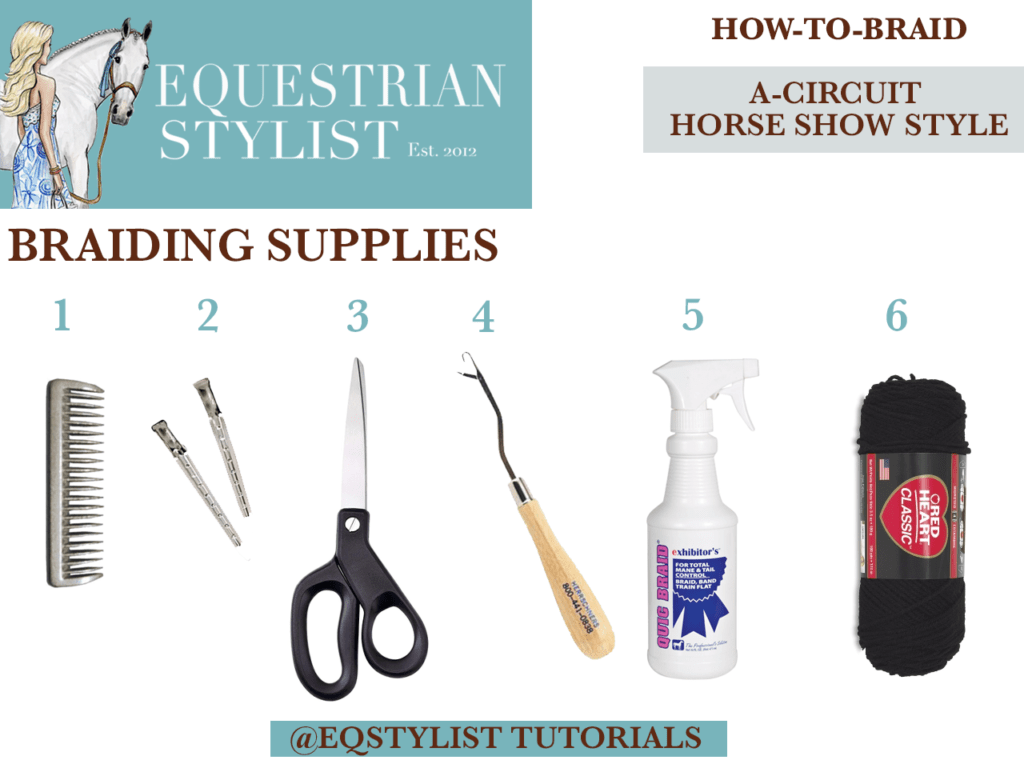 How To Braid Your Horse For The A Circuit Equestrian Stylist