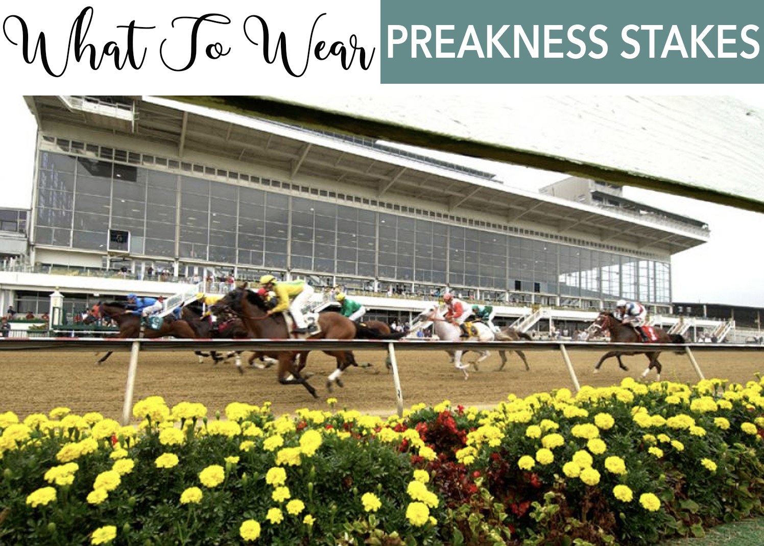 2023 Preakness: Baltimore stylists on what to wear to Pimlico to turn heads  on race day