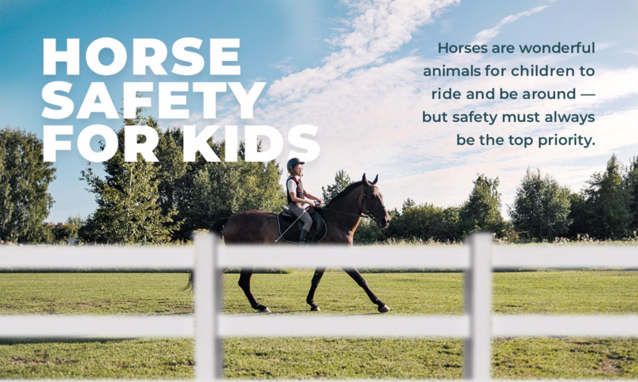 Horse Safety Tips For Children - Equestrian Stylist